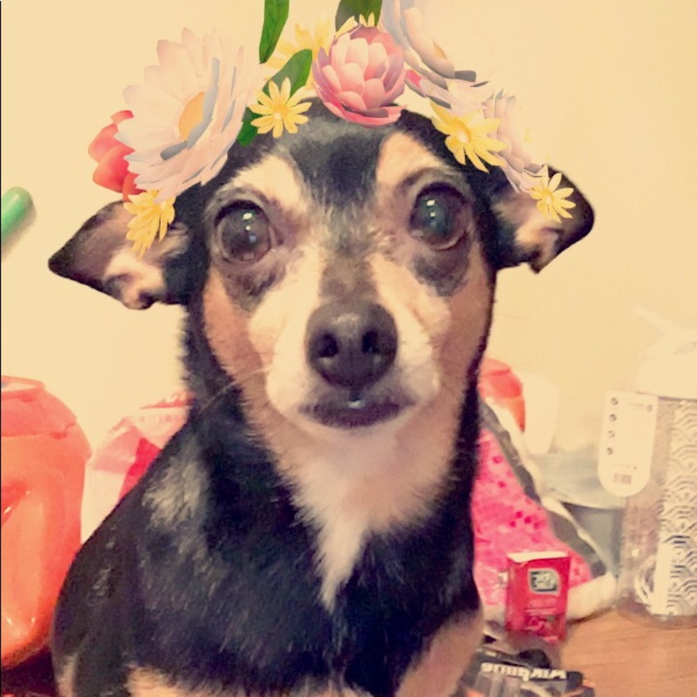 Meet your Posher, Stephanie